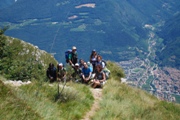 Clicca qui per vedere l'immagine in dettaglio